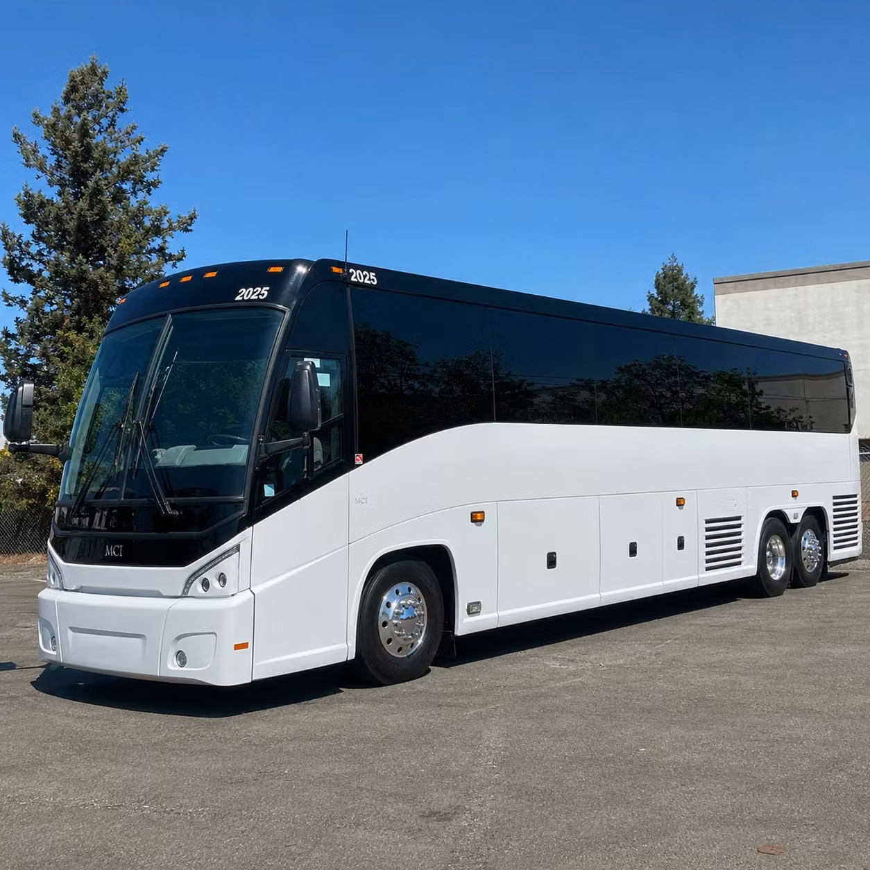 56 passenger charter bus